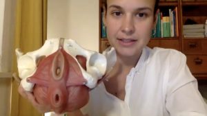 Linda Schendel: Anatomie - Der Beckenboden (21:53) Linda Schendel: Anatomie - Der Beckenboden (21:53)