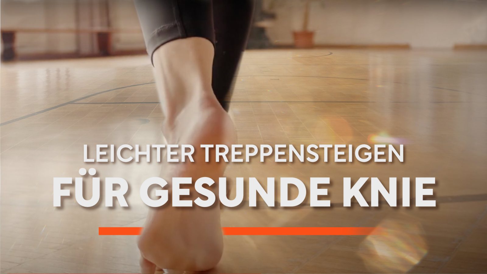 Freebie-Covertitel-Kurse+Lektionen